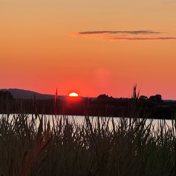 Meet your Posher, Rebekah - Picture 16 of 16